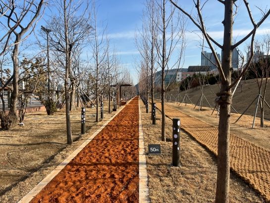 영도구 아미르공원 내 맨발산책로 조성, 주민 건강과 힐링 공간 마련